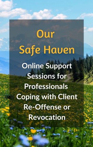 Our Safe Haven: Online Support Session for Professionals Coping with Re ...