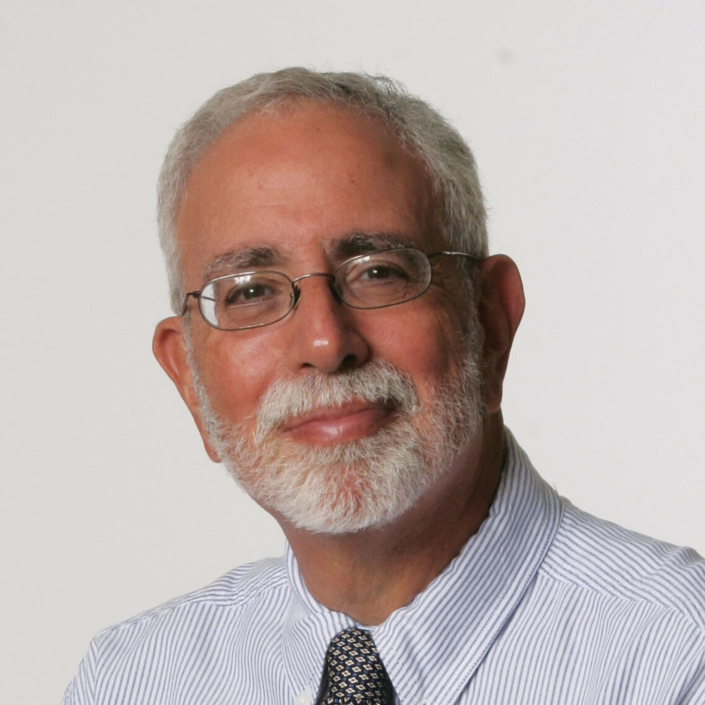 Michael L. Perlin