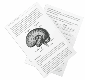 Two open pages from the book Evicting the Perpetrator showing a brain diagram labeled with key areas and explanatory text about trauma and brain biology.