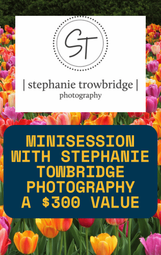 Minisession with Stephanie Towbridge Photography - A $300 Value