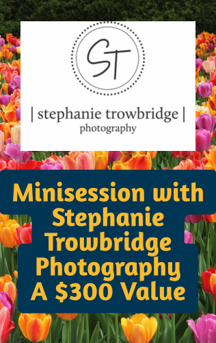 Minisession with Stephanie Trowbridge Photography - A $300 Value